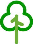 arvore