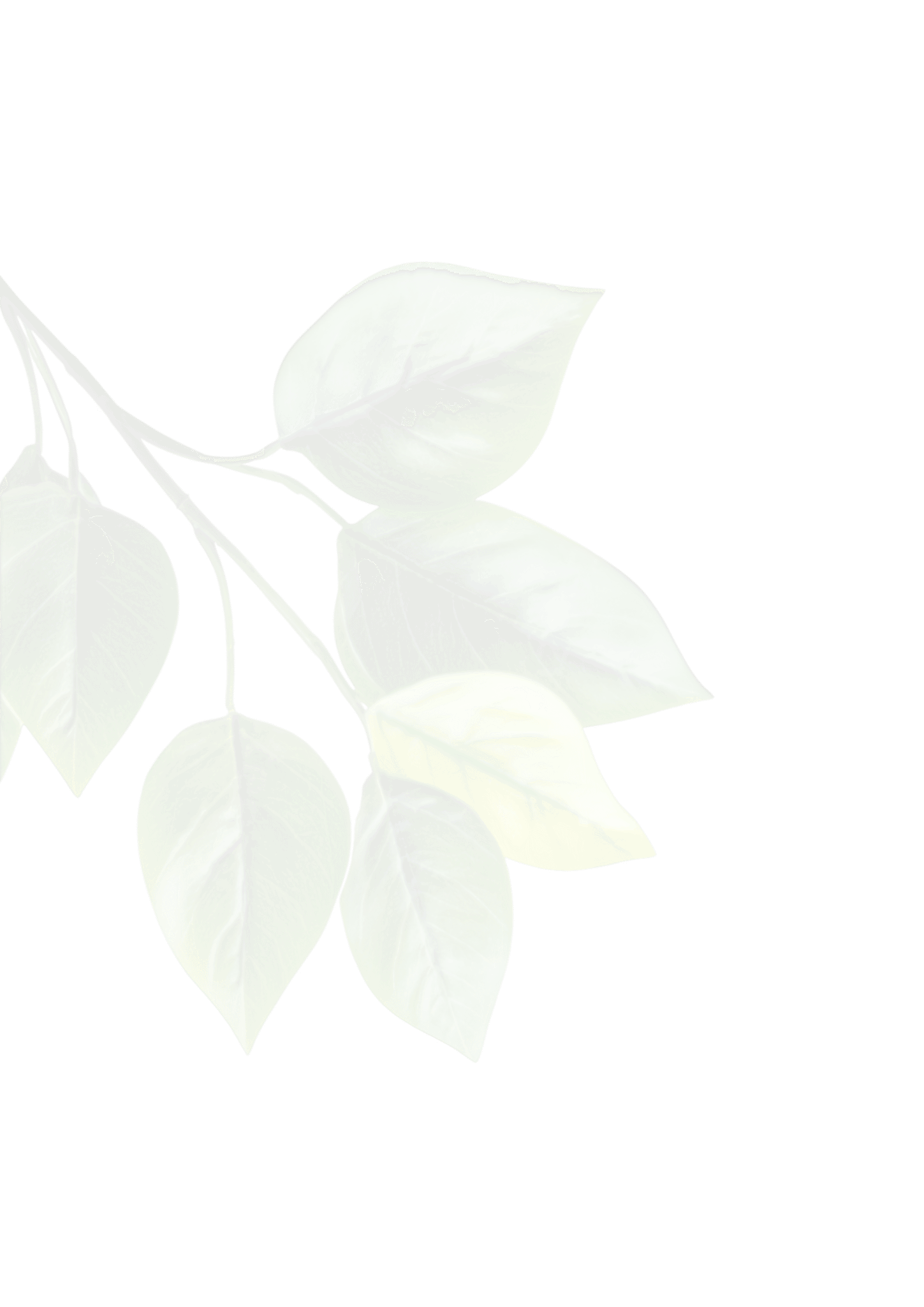 planta
