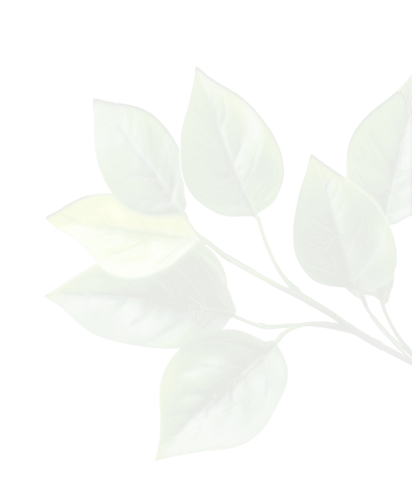 planta 2